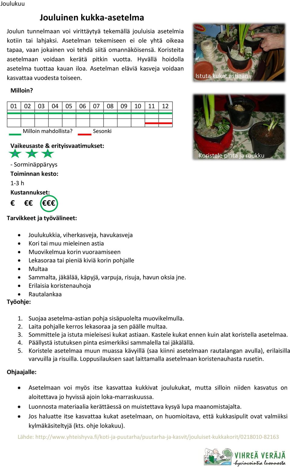 Asetelman eläviä kasveja voidaan kasvattaa vuodesta toiseen.