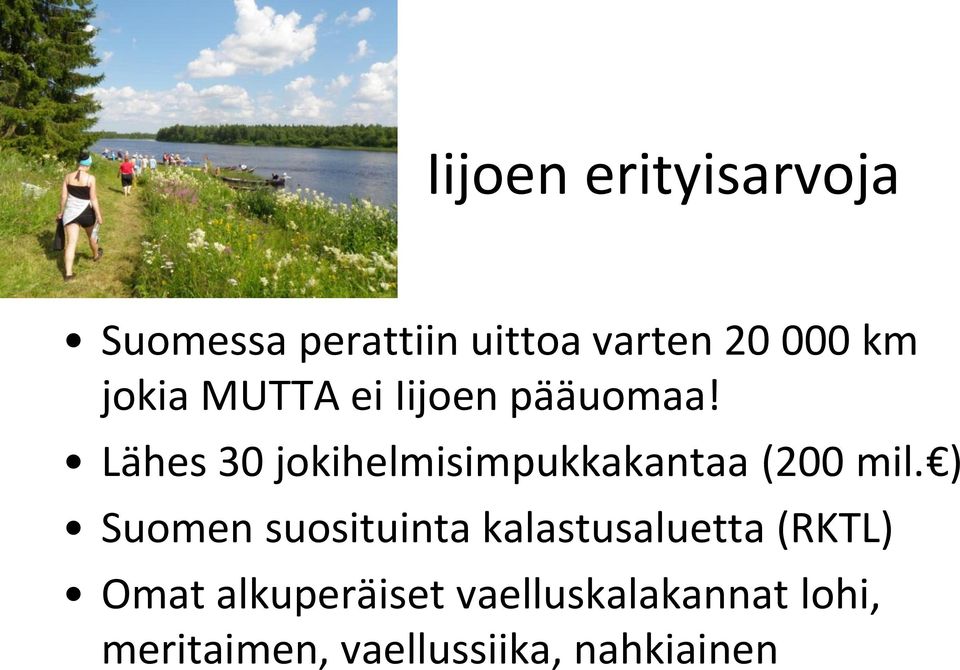 Lähes 30 jokihelmisimpukkakantaa (200 mil.