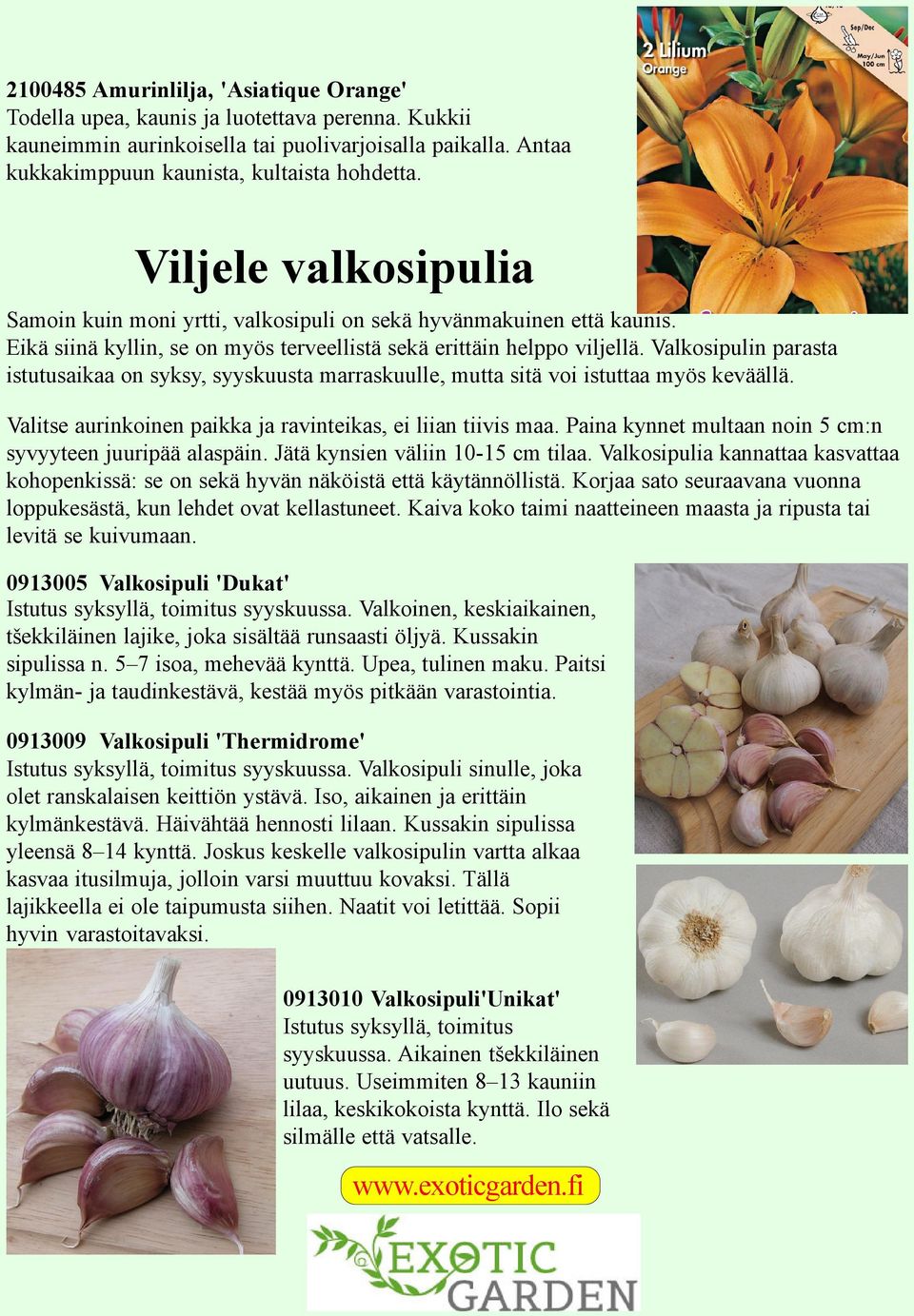 Valkosipulin parasta istutusaikaa on syksy, syyskuusta marraskuulle, mutta sitä voi istuttaa myös keväällä. Valitse aurinkoinen paikka ja ravinteikas, ei liian tiivis maa.