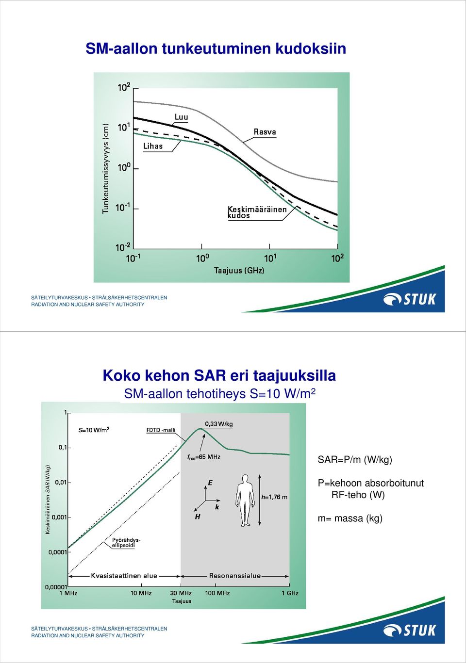 tehotiheys S=10 W/m 2 SAR=P/m (W/kg)
