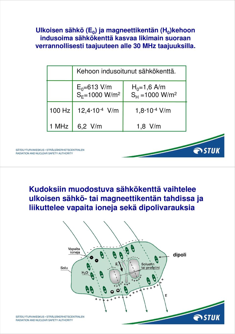 E 0 =613 V/m H 0 =1,6 A/m S E =1000 W/m 2 S H =1000 W/m 2 100 Hz 12,4 10-4 V/m 1,8 10-4 V/m 1 MHz 6,2 V/m 1,8