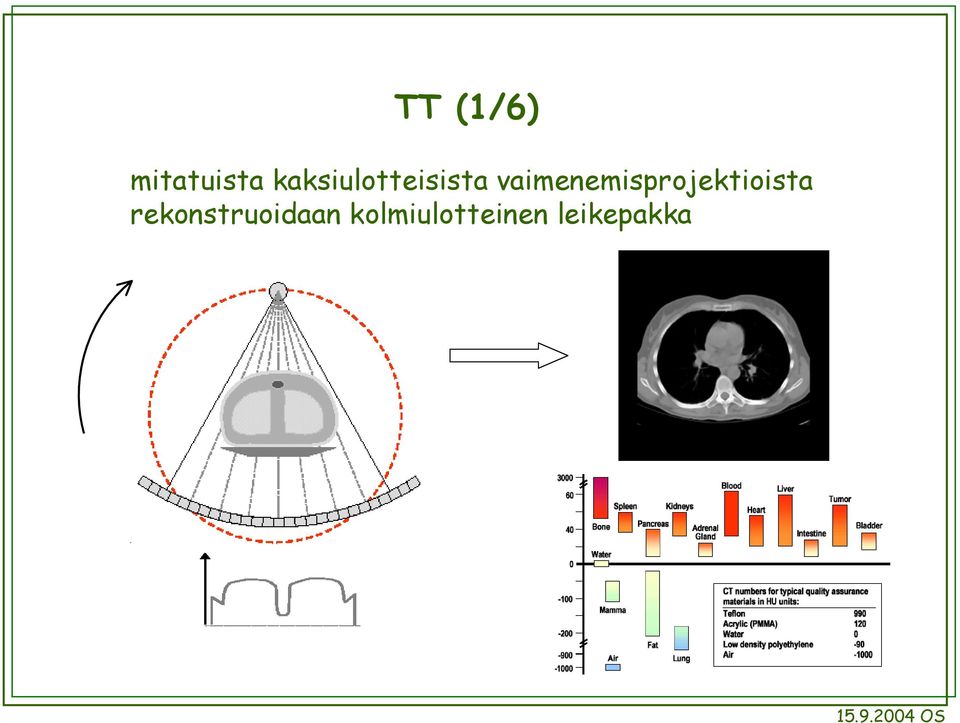 vaimenemisprojektioista