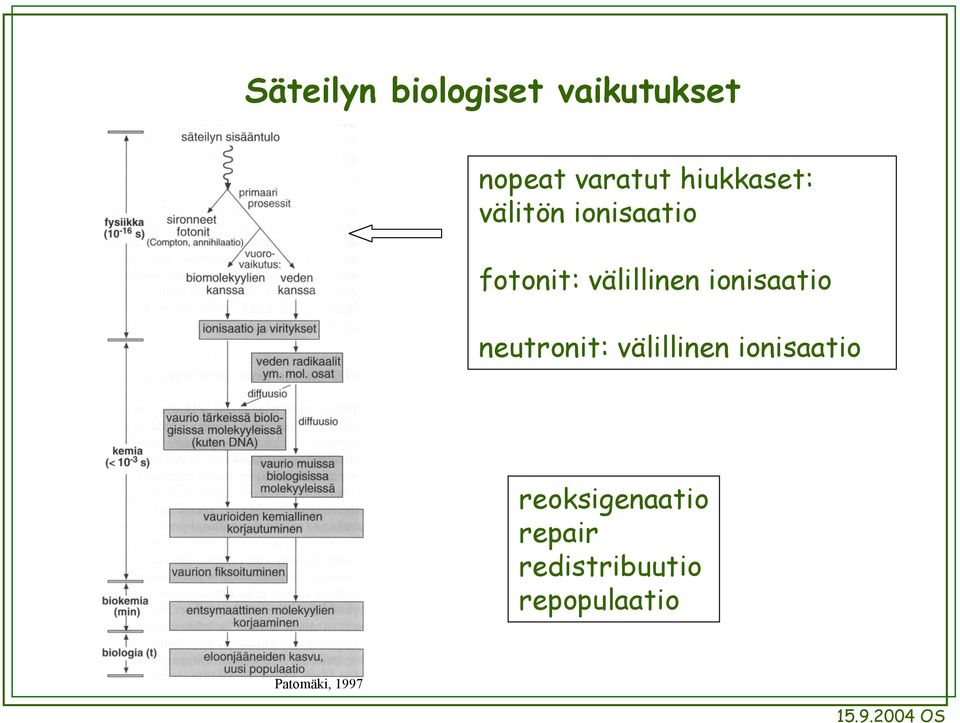 ionisaatio neutronit: välillinen ionisaatio