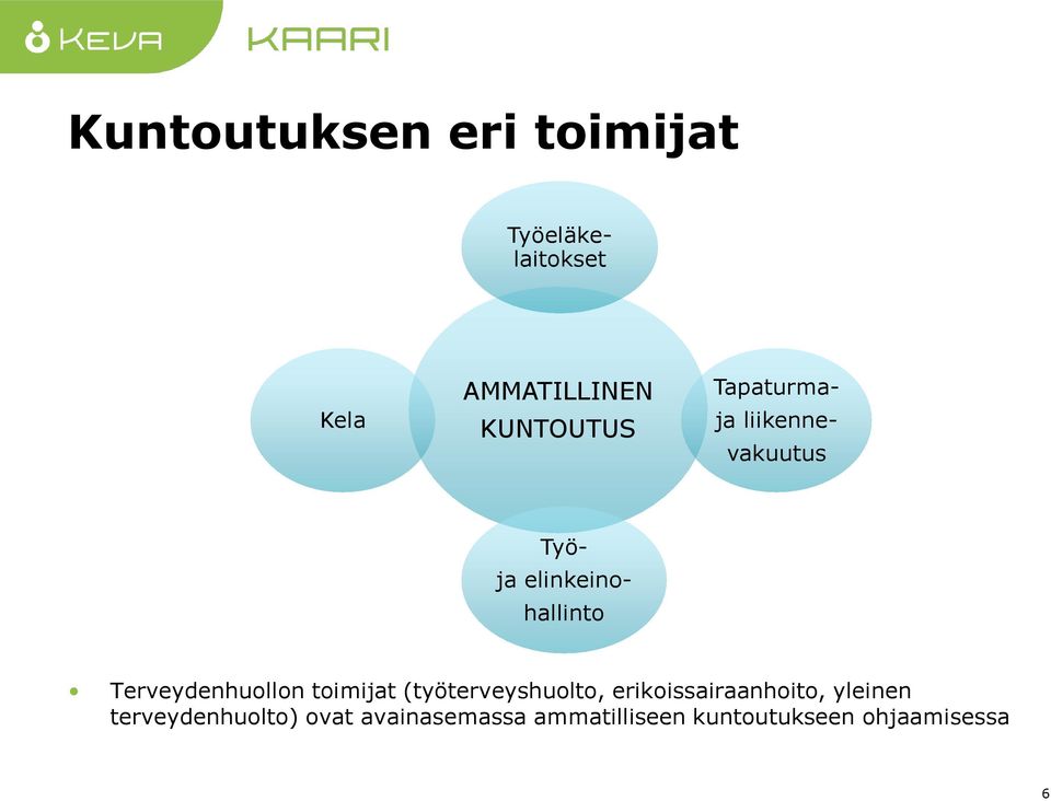 Terveydenhuollon toimijat (työterveyshuolto, erikoissairaanhoito,