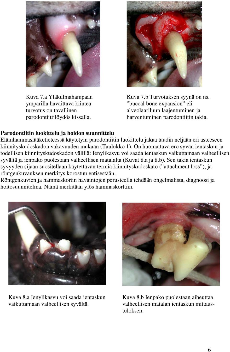 Parodontiitin luokittelu ja hoidon suunnittelu Eläinhammaslääketieteessä käytetyin parodontiitin luokittelu jakaa taudin neljään eri asteeseen kiinnityskudoskadon vakavuuden mukaan (Taulukko 1).