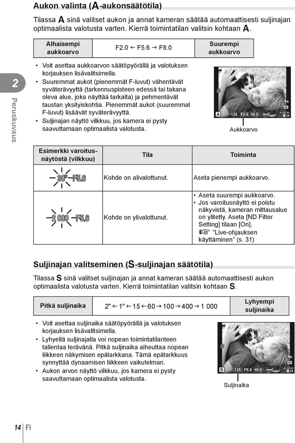 Suuremmat aukot (pienemmät F-luvut) vähentävät syväterävyyttä (tarkennuspisteen edessä tai takana oleva alue, joka näyttää tarkalta) ja pehmentävät taustan yksityiskohtia.