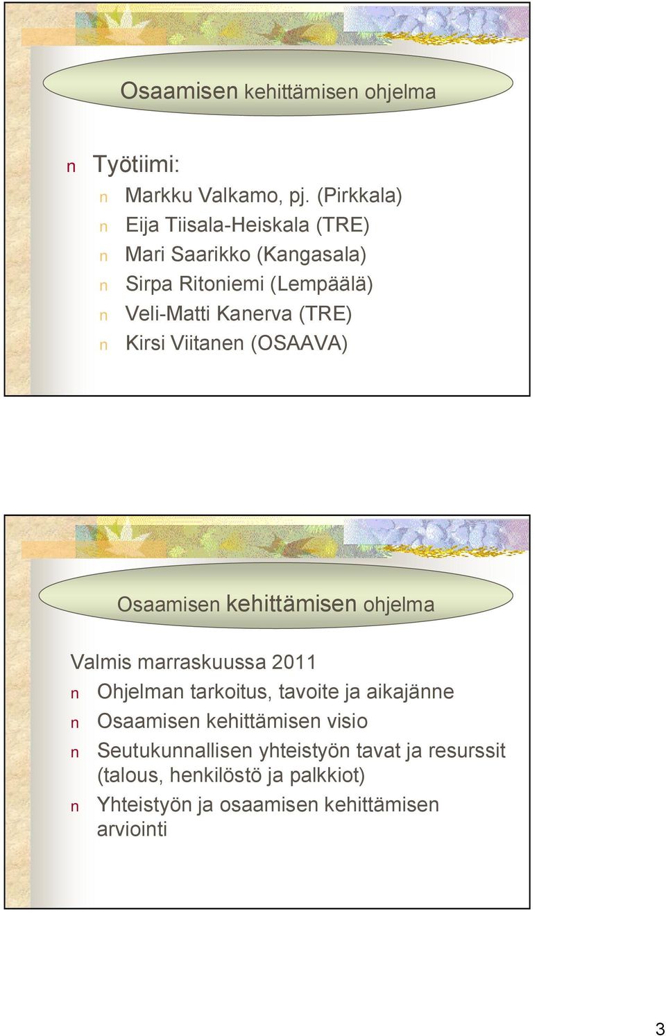 (TRE) Kirsi Viitanen (OSAAVA) Osaamisen kehittämisen ohjelma Valmis marraskuussa 2011 Ohjelman tarkoitus, tavoite