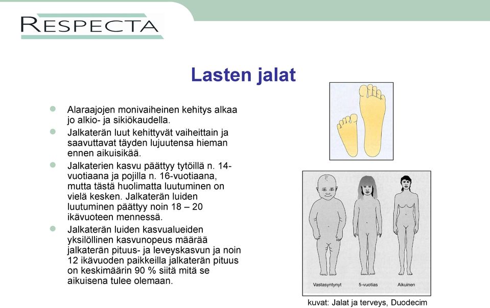 14vuotiaana ja pojilla n. 16-vuotiaana, mutta tästä huolimatta luutuminen on vielä kesken.