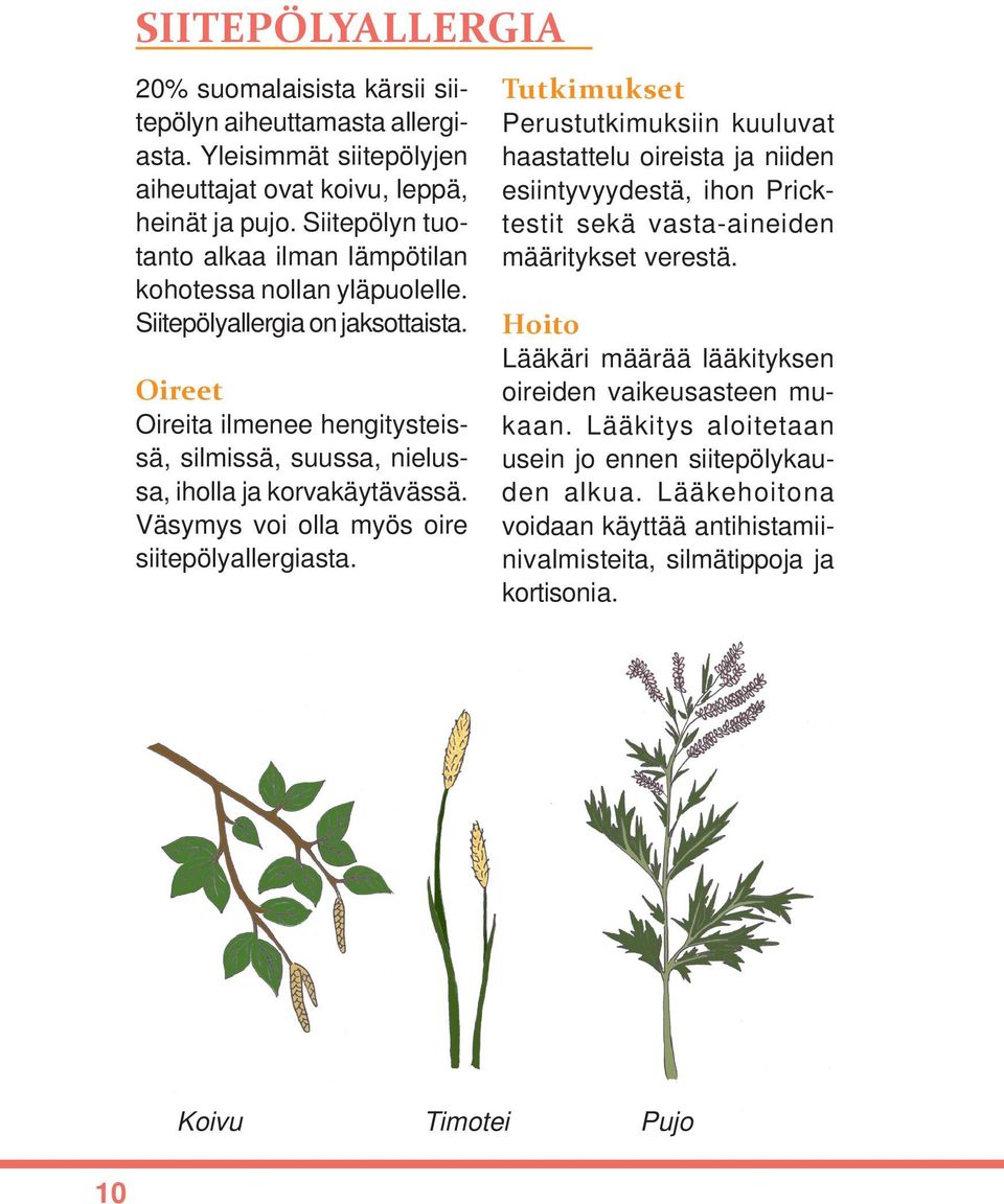 Oireet Oireita ilmenee hengitysteissä, silmissä, suussa, nielussa, iholla ja korvakäytävässä. Väsymys voi olla myös oire siitepölyallergiasta.