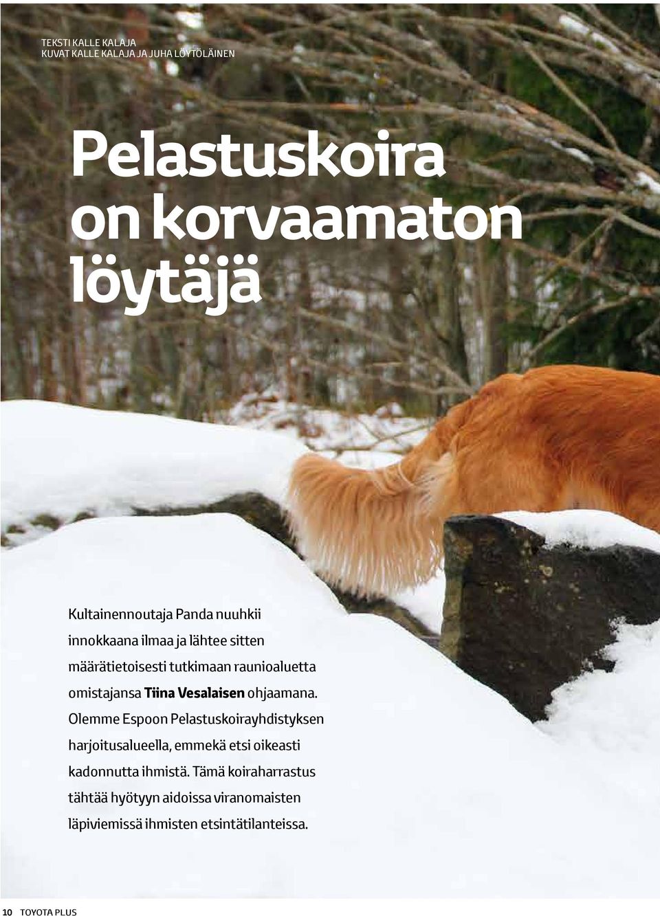 Vesalaisen ohjaamana.