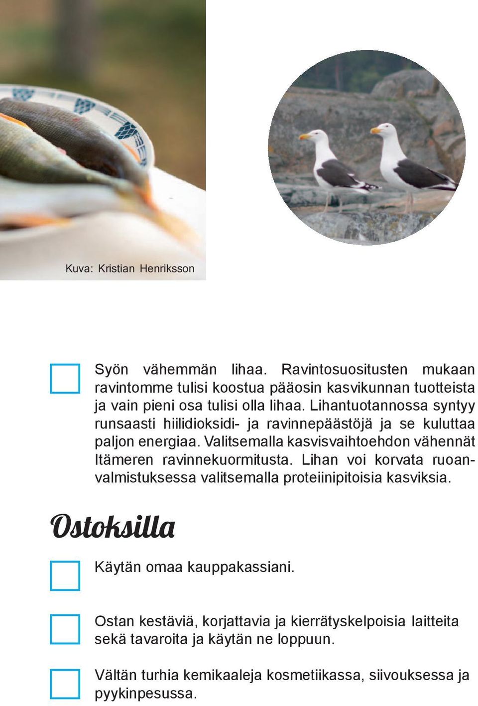 Lihantuotannossa syntyy runsaasti hiilidioksidi- ja ravinnepäästöjä ja se kuluttaa paljon energiaa.
