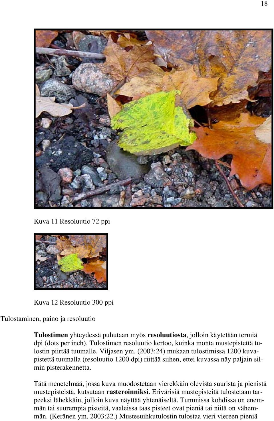 (2003:24) mukaan tulostimissa 1200 kuvapistettä tuumalla (resoluutio 1200 dpi) riittää siihen, ettei kuvassa näy paljain silmin pisterakennetta.
