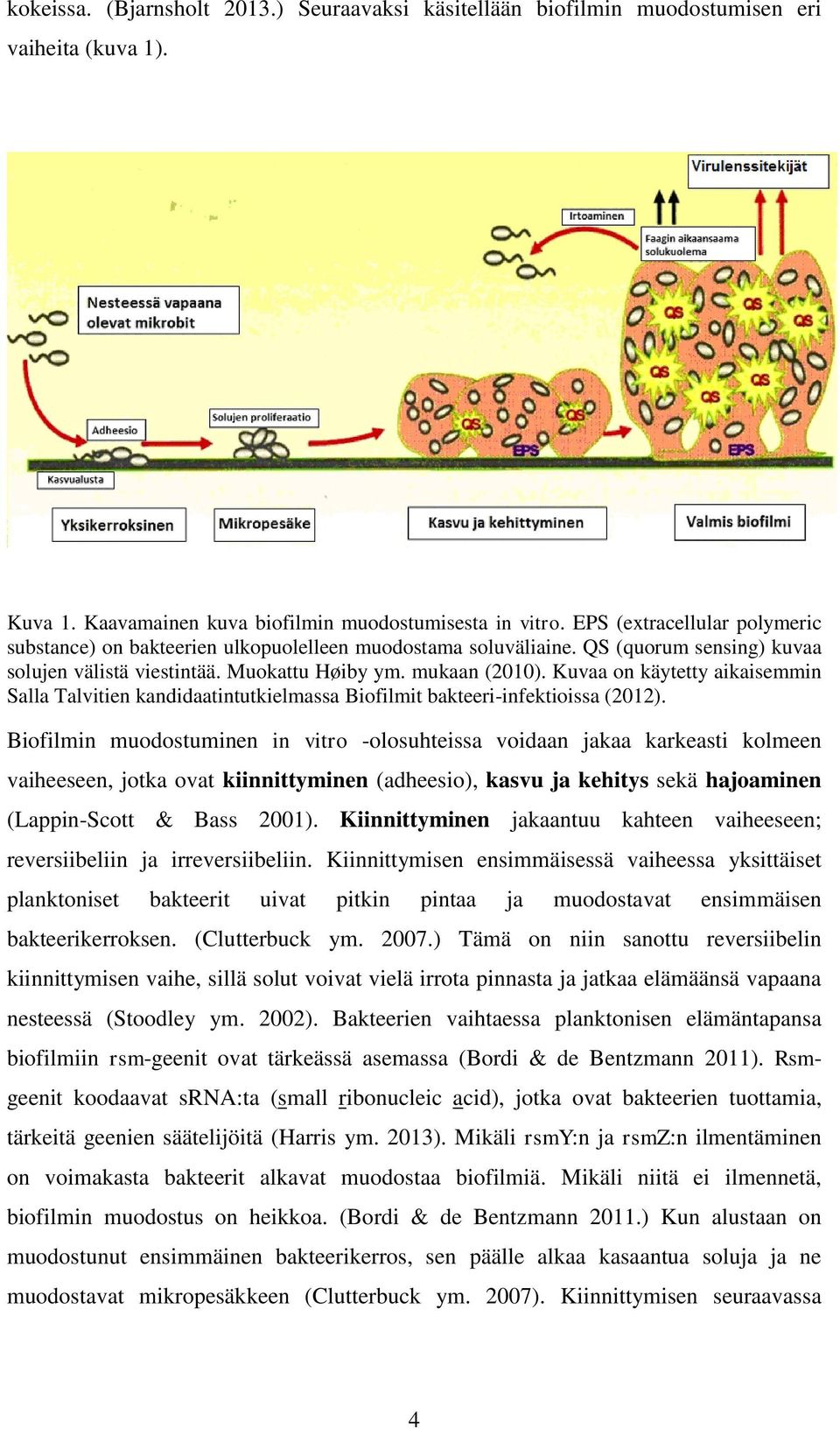 Kuvaa on käytetty aikaisemmin Salla Talvitien kandidaatintutkielmassa Biofilmit bakteeri-infektioissa (2012).