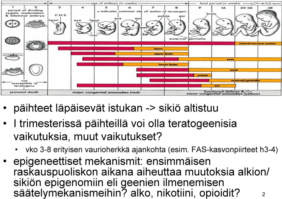 FAS-kasvonpiirteet h3-4) epigeneettiset mekanismit: ensimmäisen raskauspuoliskon aikana