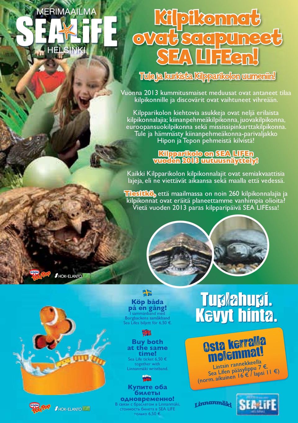 Tule ja hämmästy kiinanpehmeäkonna-parivaljakko Hipon ja Tepon pehmeistä kilvistä! Kilpparikolo on SEA LIFEn vuoden 2013 uutuusnäyttely!