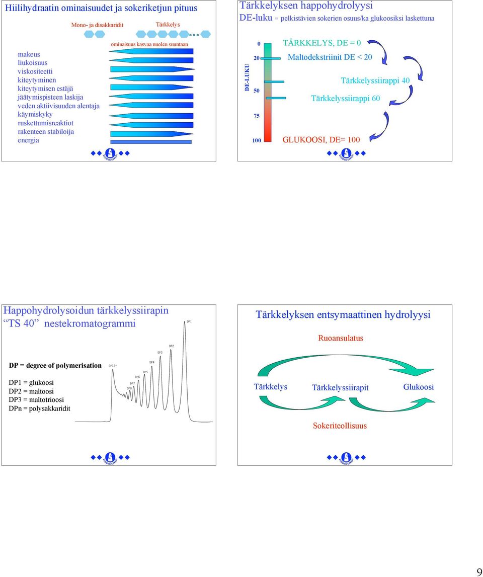 suuntaan 0 DE-LUKU 20 50 75 TÄRKKELYS, DE = 0 Maltodekstriinit DE < 20 100 GLUKOOSI, DE= 100 Tärkkelyssiirappi 40 Tärkkelyssiirappi 60 Happohydrolysoidun tärkkelyssiirapin TS 40