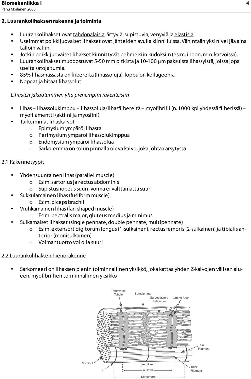 Luurankolihakset muodostuvat 5-50 mm pitkistä ja 10-100 µm paksuista lihassyistä, joissa jopa useita satoja tumia.