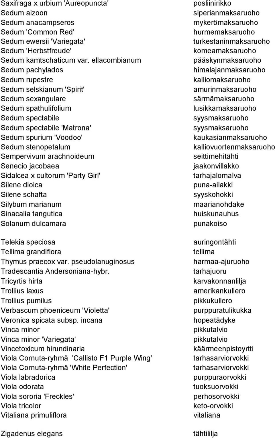 Sempervivum arachnoideum Senecio jacobaea Sidalcea x cultorum 'Party Girl' Silene dioica Silene schafta Silybum marianum Sinacalia tangutica Solanum dulcamara Telekia speciosa Tellima grandiflora