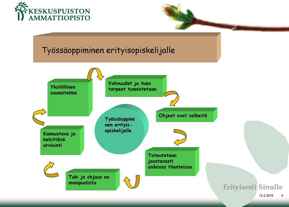 arviointi Työssäoppimi nen erityisopiskelijalle Ohjeet ovat selkeitä