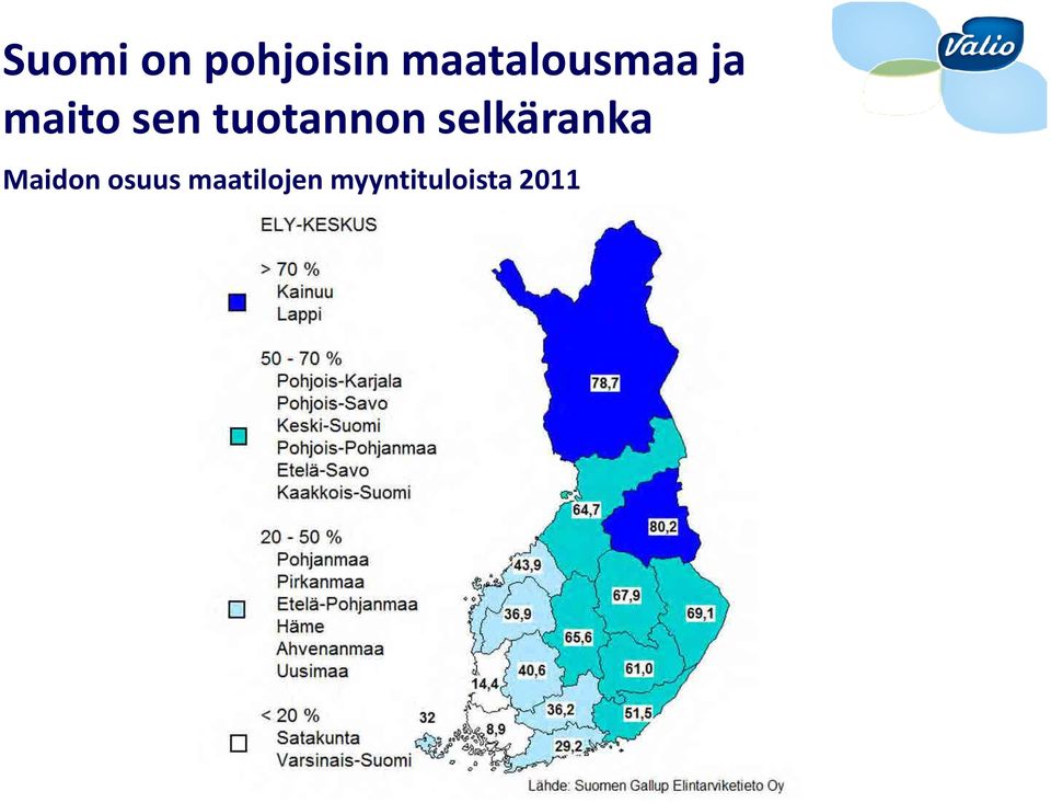 tuotannon selkäranka Maidon