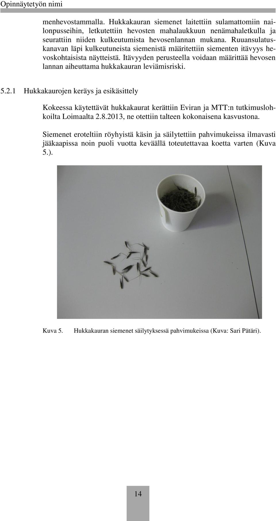 Itävyyden perusteella voidaan määrittää hevosen lannan aiheuttama hukkakauran leviämisriski. 5.2.