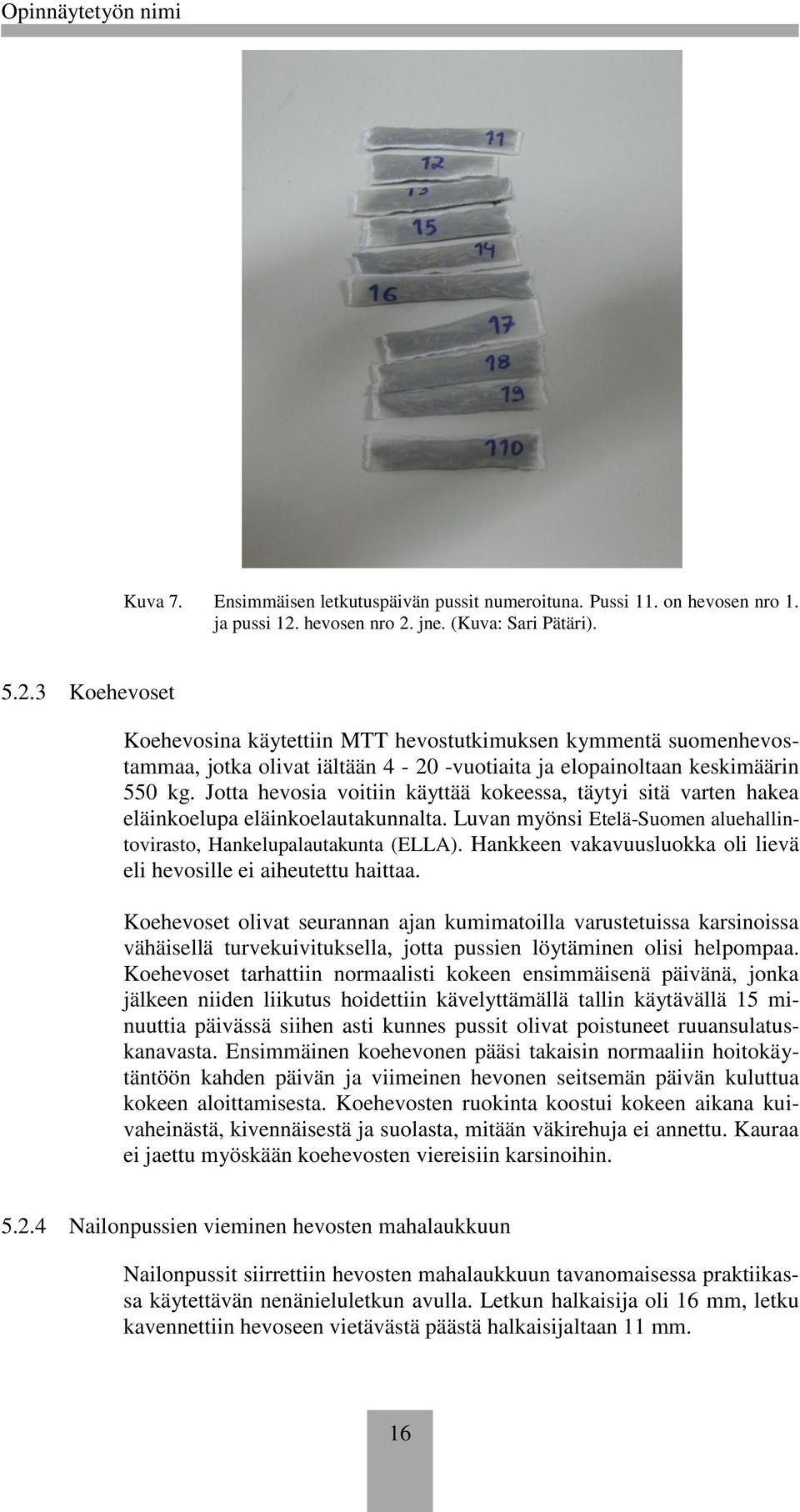 Jotta hevosia voitiin käyttää kokeessa, täytyi sitä varten hakea eläinkoelupa eläinkoelautakunnalta. Luvan myönsi Etelä-Suomen aluehallintovirasto, Hankelupalautakunta (ELLA).
