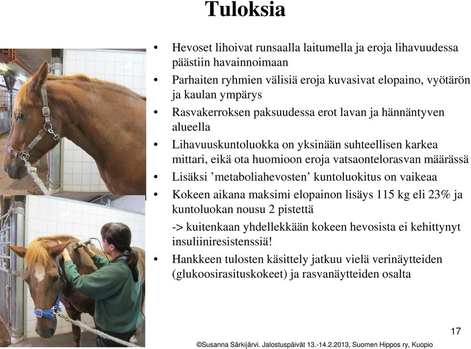 vatsaontelorasvan määrässä Lisäksi metaboliahevosten kuntoluokitus on vaikeaa Kokeen aikana maksimi elopainon lisäys 115 kg eli 23% ja kuntoluokan nousu 2 pistettä ->