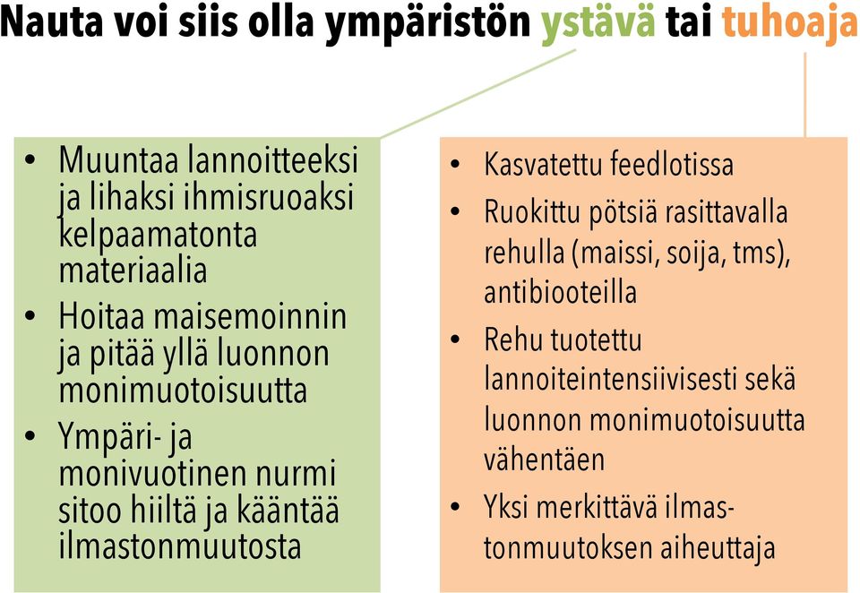 kääntää ilmastonmuutosta Kasvatettu feedlotissa Ruokittu pötsiä rasittavalla rehulla (maissi, soija, tms),