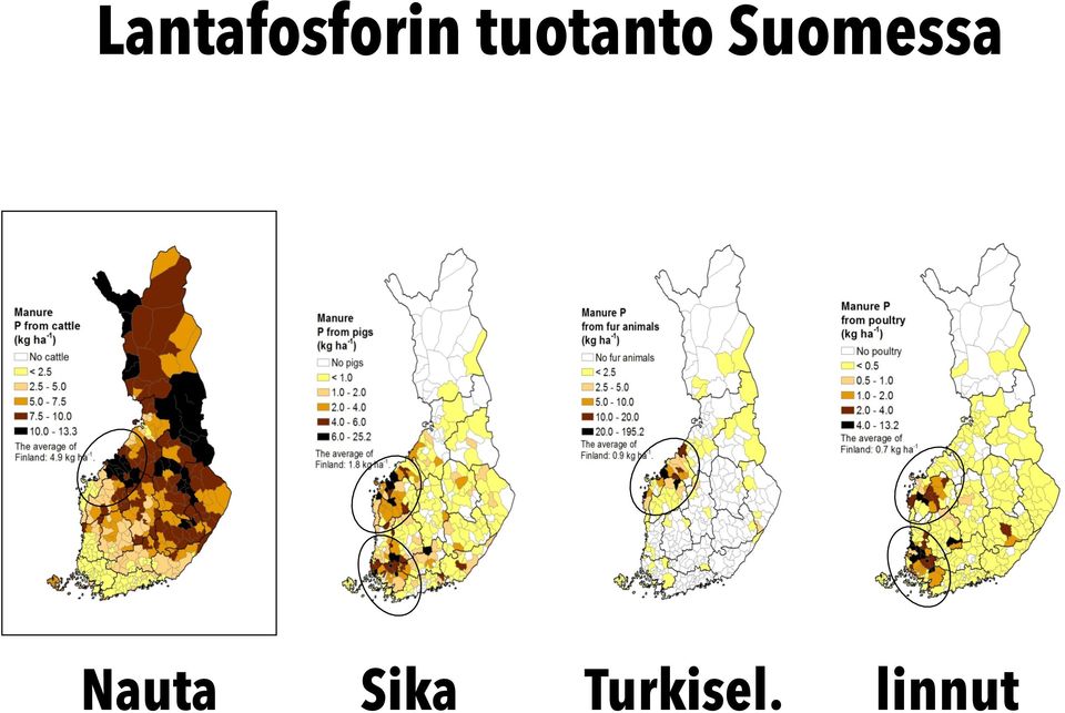 Suomessa Nauta