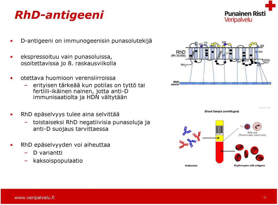 nainen, jotta anti-d immunisaatiolta ja HDN vältytään RhD epäselvyys tulee aina selvittää toistaiseksi RhD