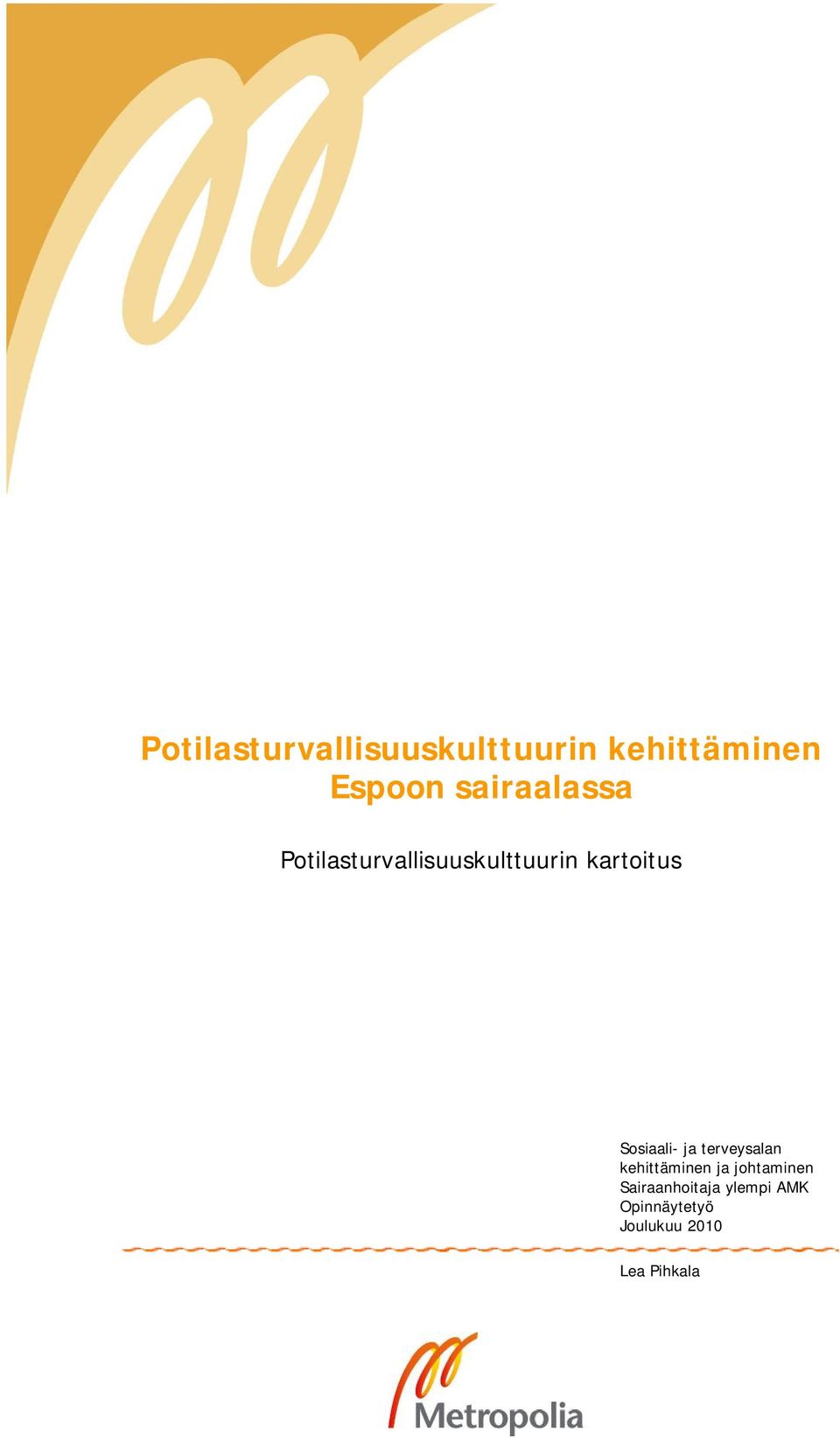Sosiaali- ja terveysalan kehittäminen ja johtaminen