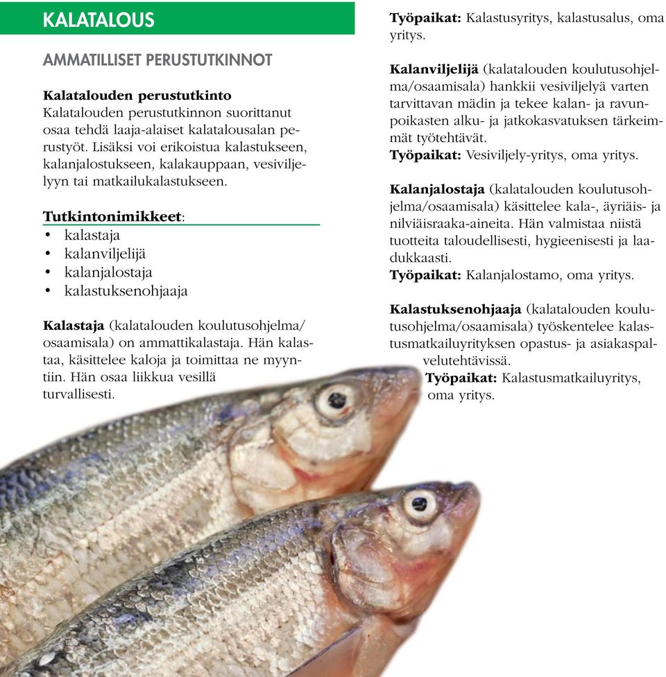 Tutkintonimikkeet: kalastaja kalanviljelijä kalanjalostaja kalastuksenohjaaja Kalastaja (kalatalouden koulutusohjelma/ osaamisala) on ammattikalastaja.