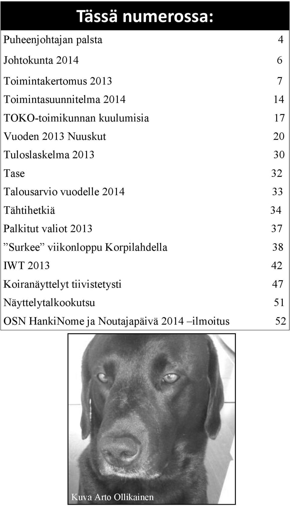 2014 33 Tähtihetkiä 34 Palkitut valiot 2013 37 Surkee viikonloppu Korpilahdella 38 IWT 2013 42