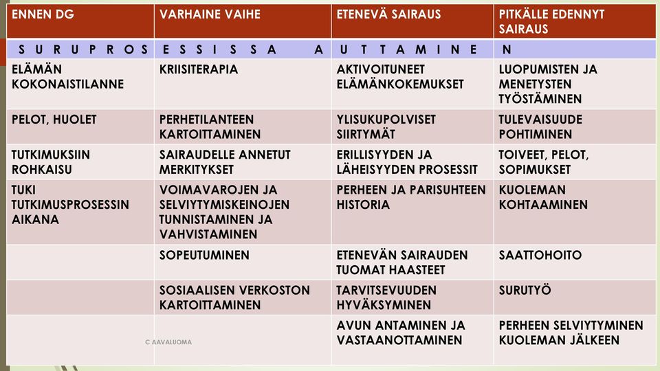 KARTOITTAMINEN AKTIVOITUNEET ELÄMÄNKOKEMUKSET YLISUKUPOLVISET SIIRTYMÄT ERILLISYYDEN JA LÄHEISYYDEN PROSESSIT PERHEEN JA PARISUHTEEN HISTORIA ETENEVÄN SAIRAUDEN TUOMAT HAASTEET TARVITSEVUUDEN