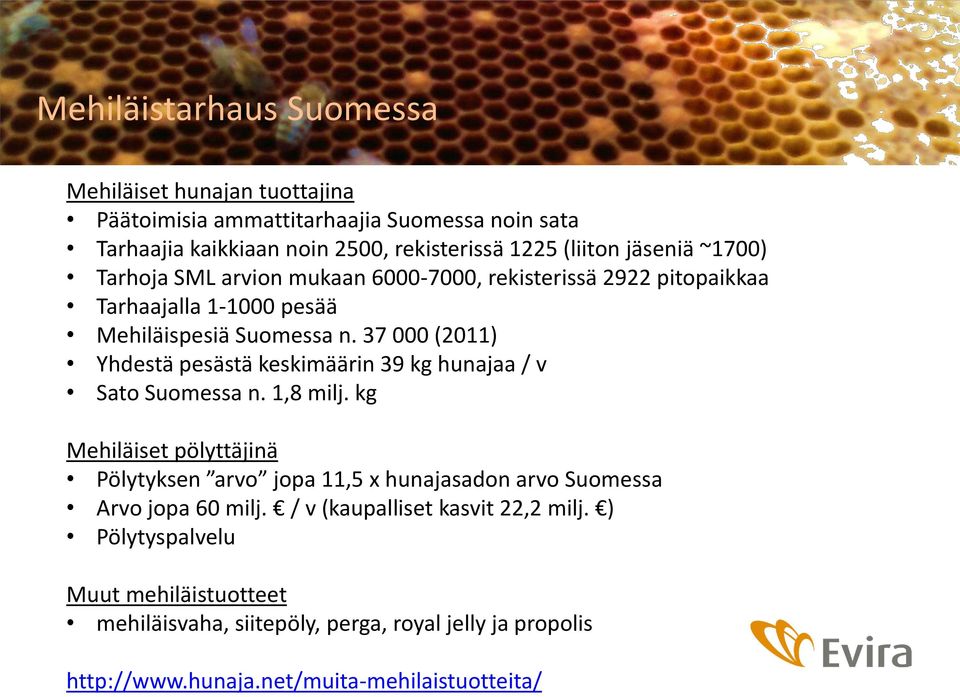 37 000 (2011) Yhdestä pesästä keskimäärin 39 kg hunajaa / v Sato Suomessa n. 1,8 milj.