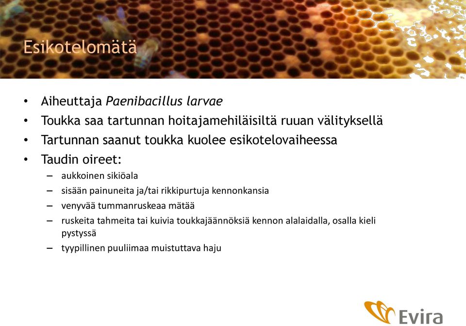 sisään painuneita ja/tai rikkipurtuja kennonkansia venyvää tummanruskeaa mätää ruskeita tahmeita