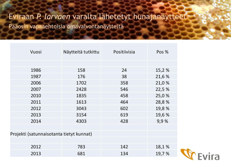 tutkittu Positiivisia Pos % 1986 158 24 15,2 % 1987 176 38 21,6 % 2006 1702 358 21,0 % 2007 2428 546