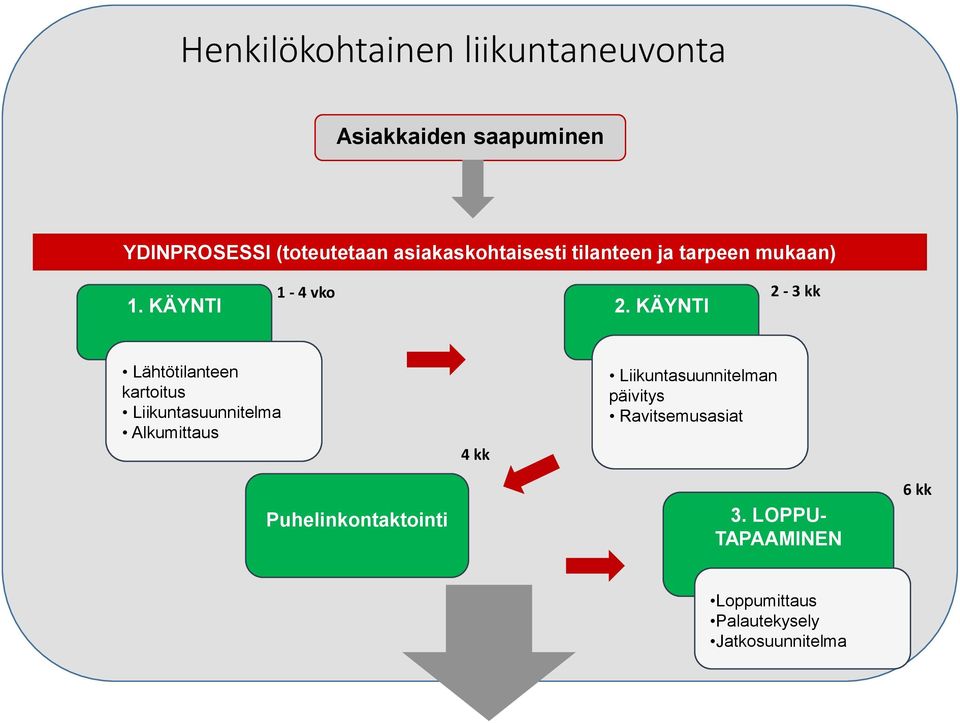 KÄYNTI 2-3 kk Lähtötilanteen kartoitus Liikuntasuunnitelma Alkumittaus 4 kk