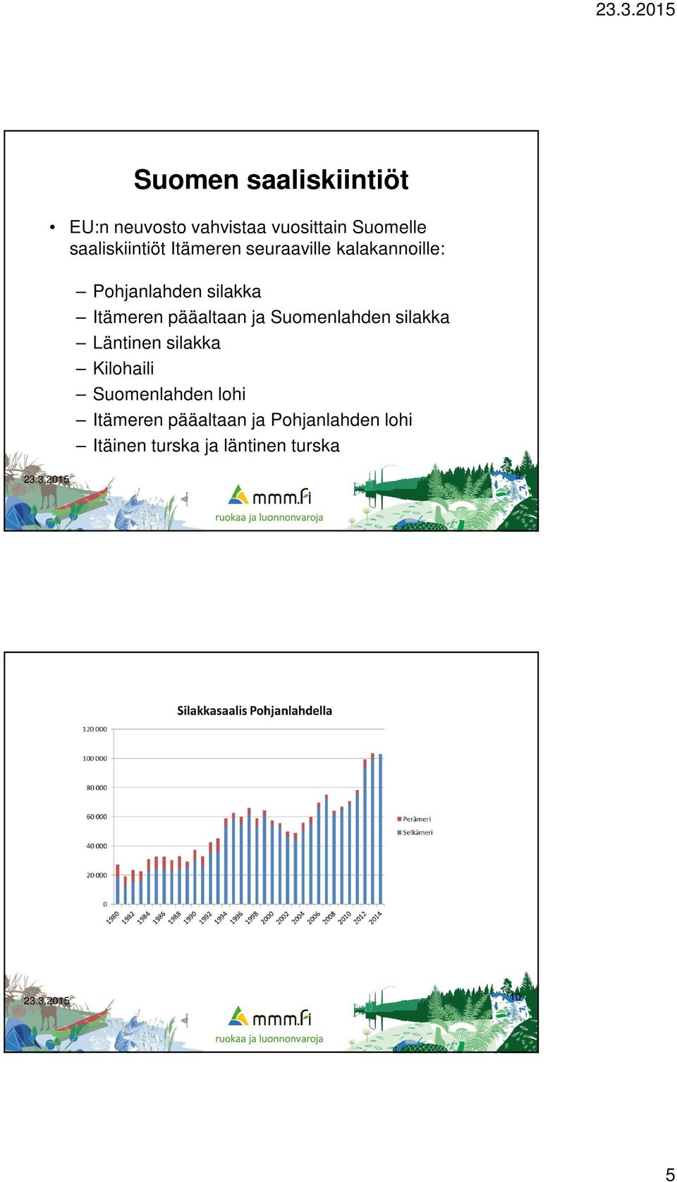 Itämeren pääaltaan ja Suomenlahden silakka Läntinen silakka Kilohaili