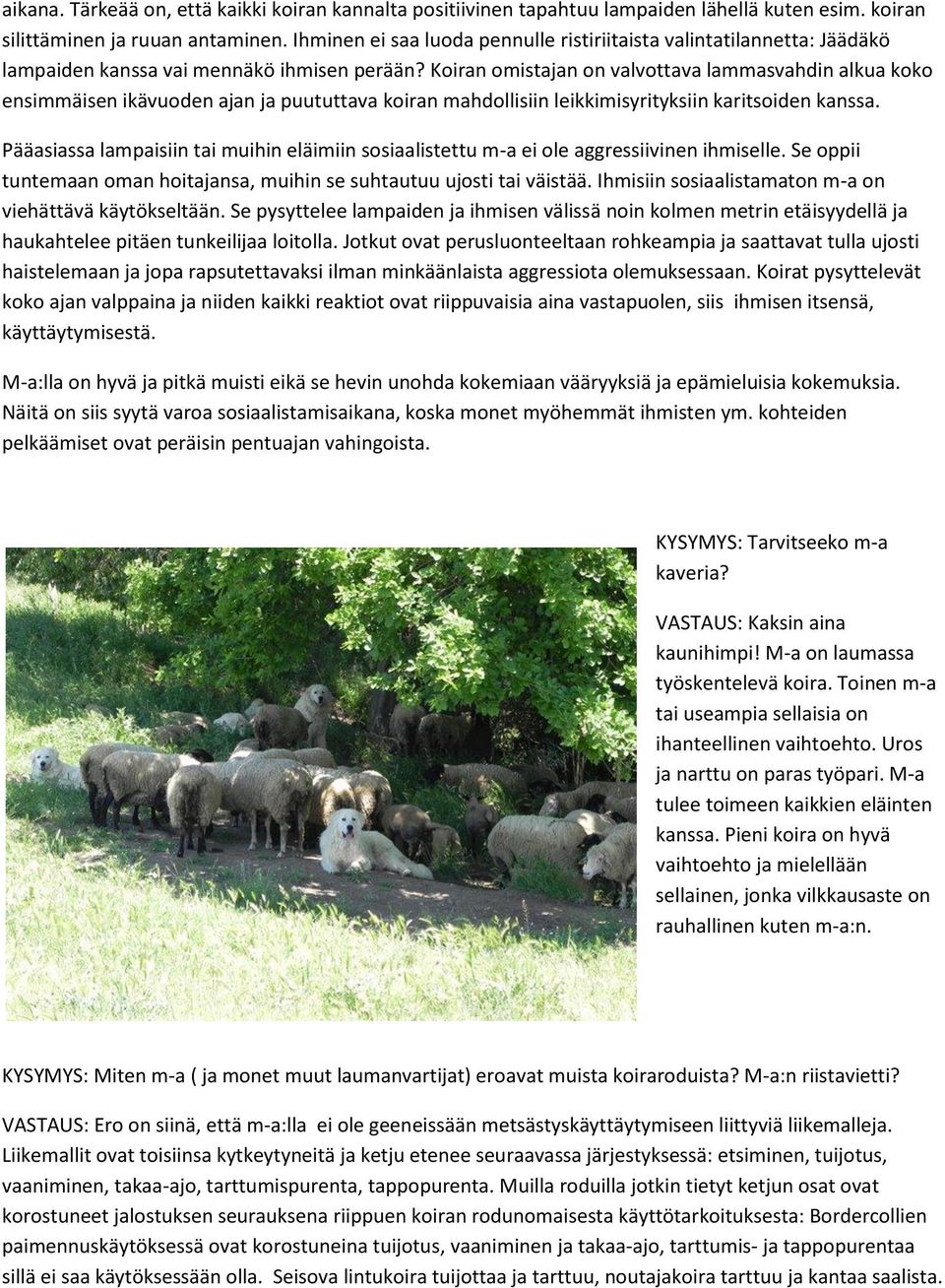Koiran omistajan on valvottava lammasvahdin alkua koko ensimmäisen ikävuoden ajan ja puututtava koiran mahdollisiin leikkimisyrityksiin karitsoiden kanssa.