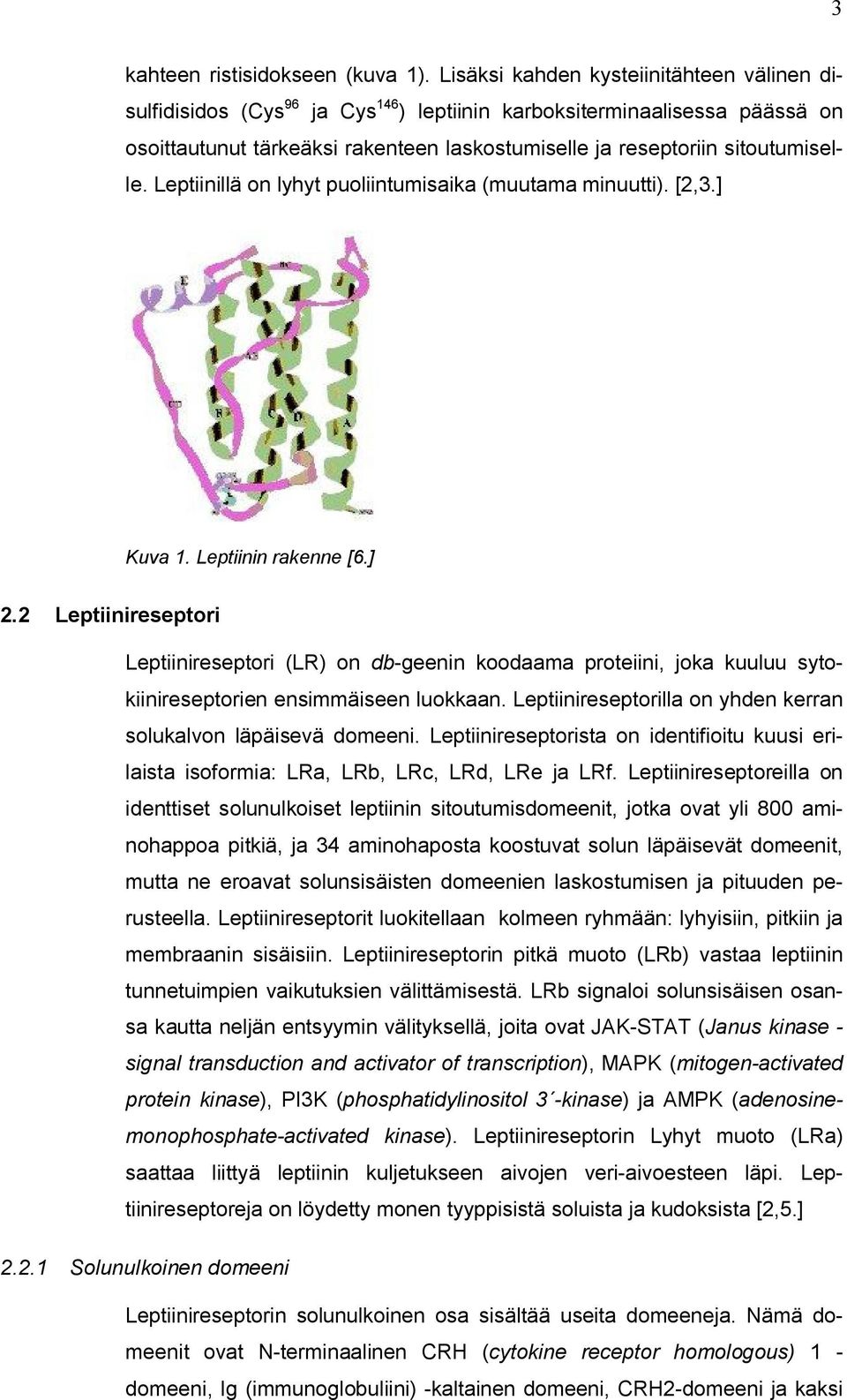 Leptiinillä on lyhyt puoliintumisaika (muutama minuutti). [2,3.] Kuva 1. Leptiinin rakenne [6.] 2.