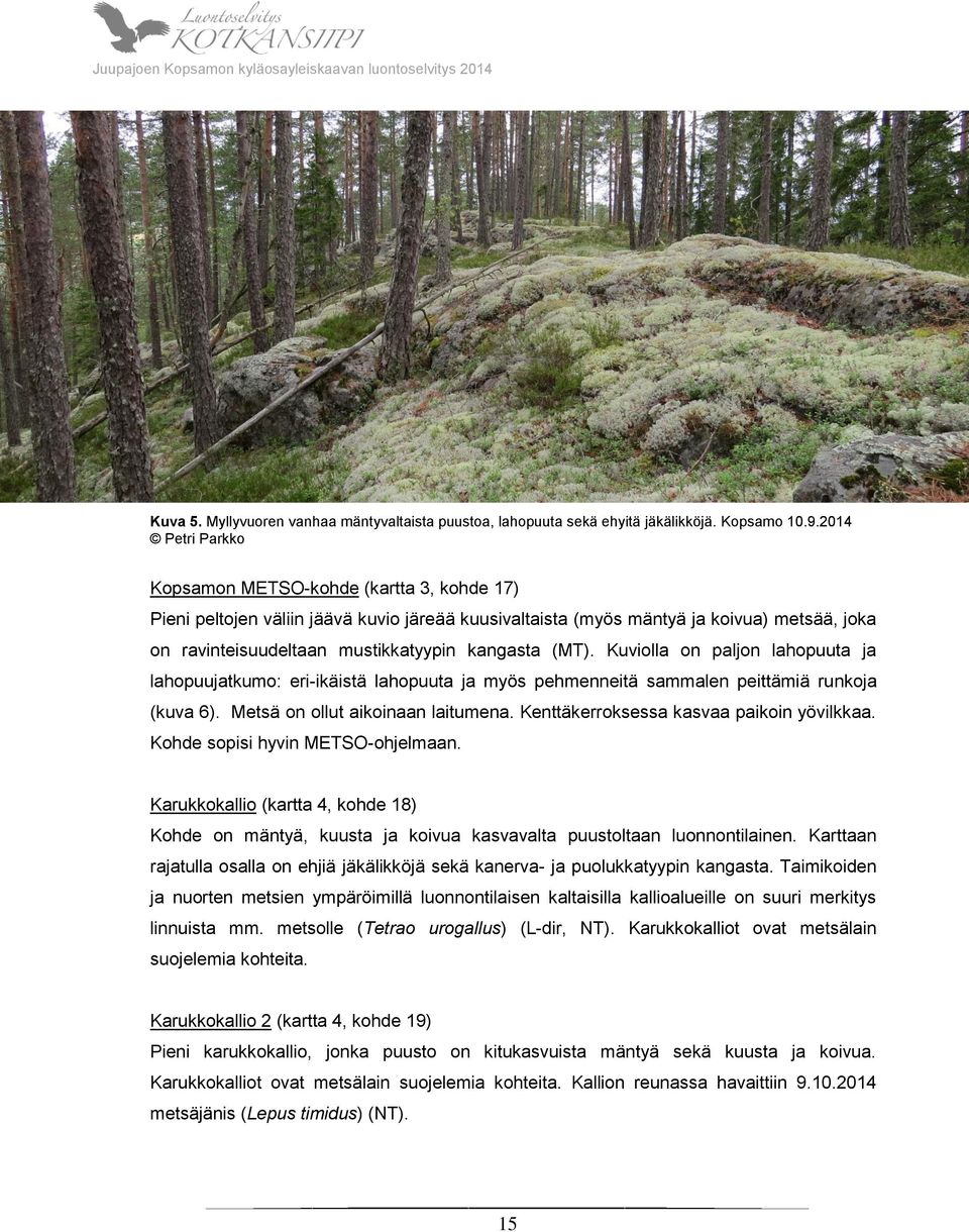 (MT). Kuviolla on paljon lahopuuta ja lahopuujatkumo: eri-ikäistä lahopuuta ja myös pehmenneitä sammalen peittämiä runkoja (kuva 6). Metsä on ollut aikoinaan laitumena.
