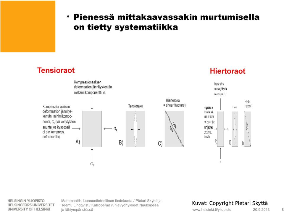 systematiikka Tensioraot