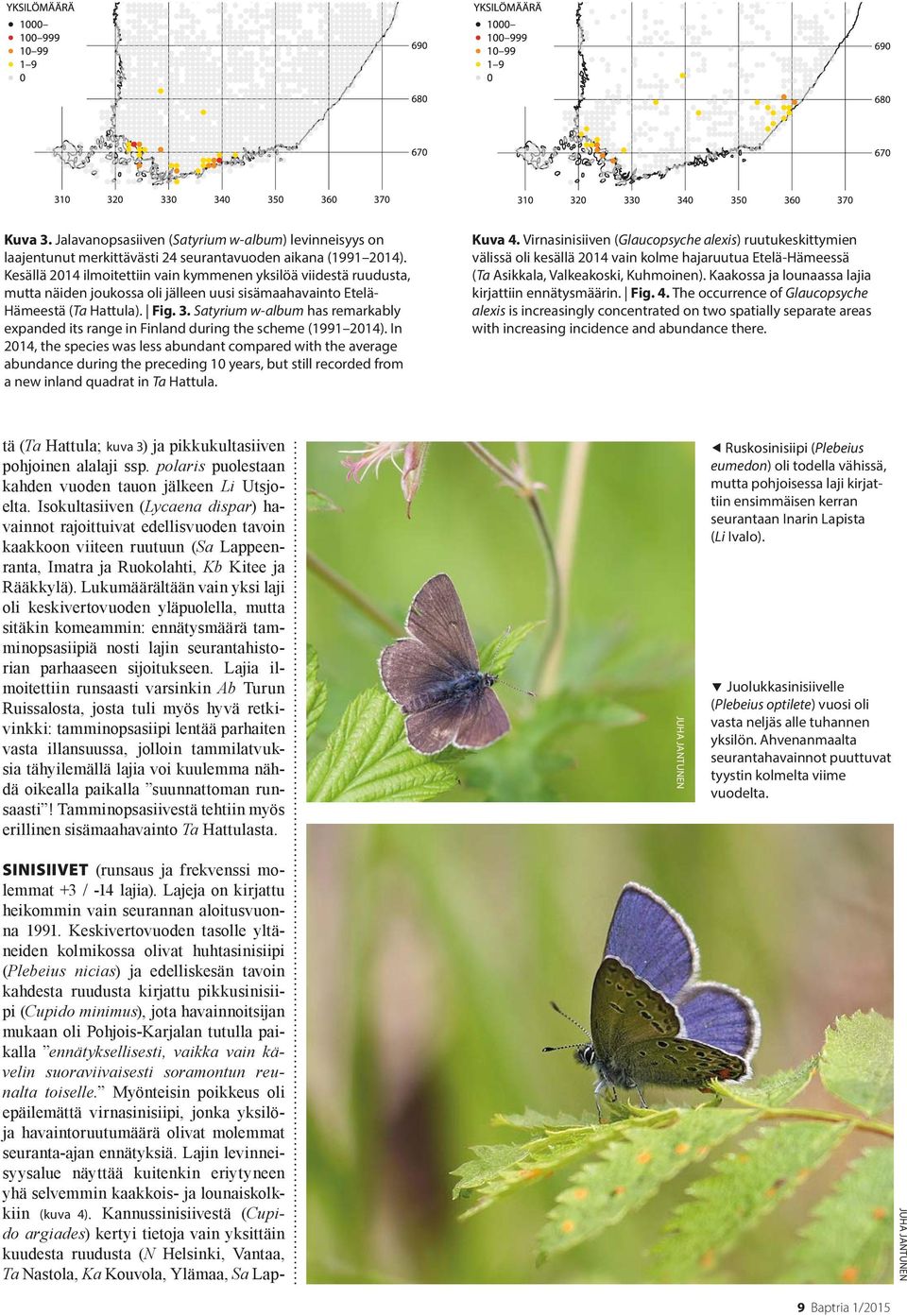 Satyrium w-album has remarkably expanded its range in Finland during the scheme (1991 2014).