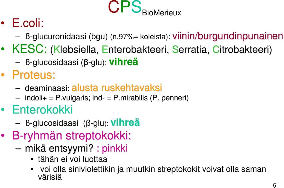 ß-glucosidaasi ( -glu): vihre Proteus: deaminaasi: alusta ruskehtavaksi deaminaasi indoli+ + = P.vulgaris; ind- = P.