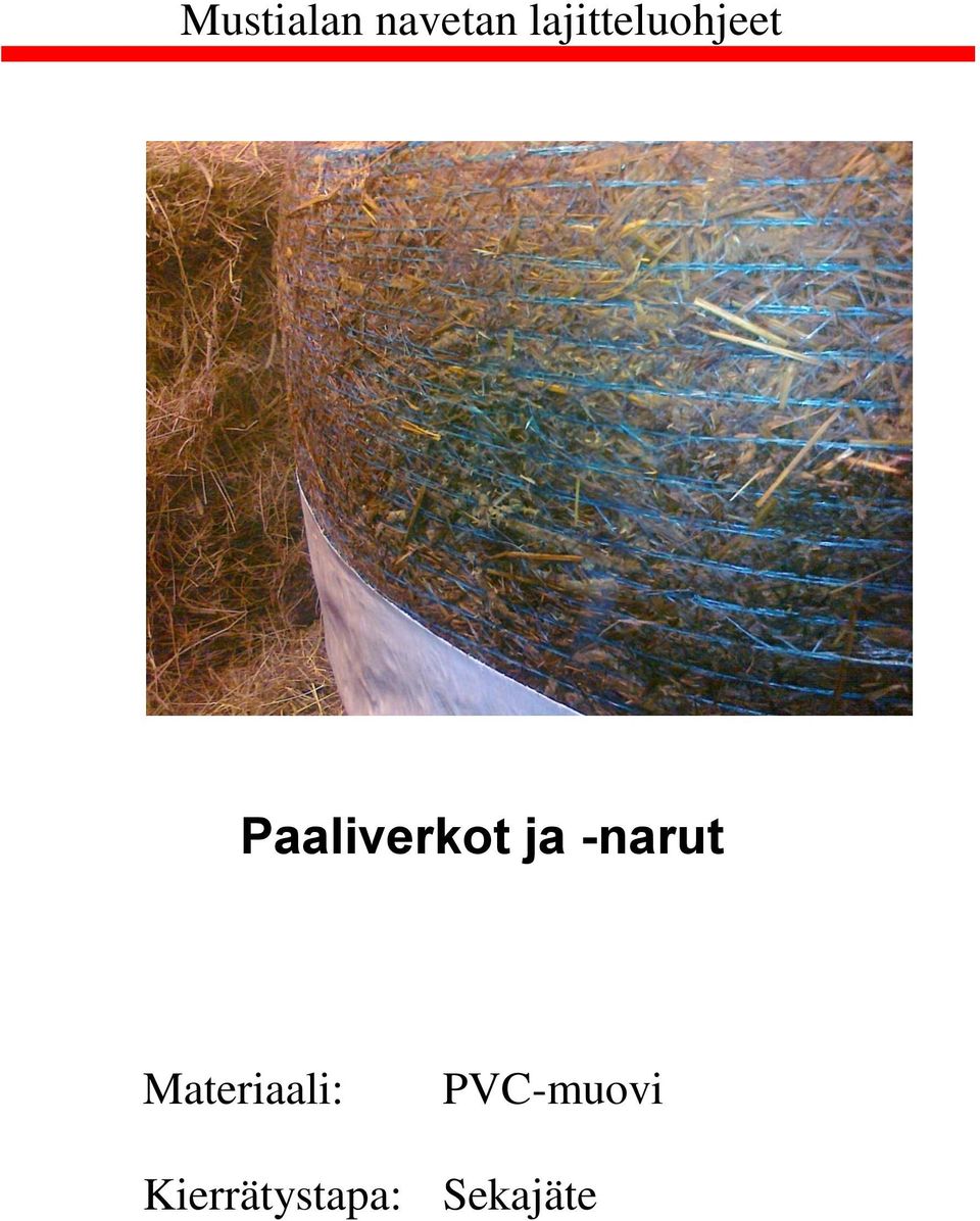 Paaliverkot ja -narut