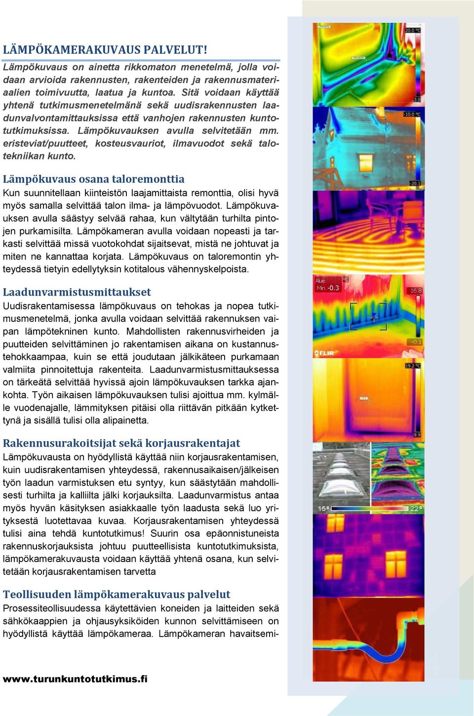 eristeviat/puutteet, kosteusvauriot, ilmavuodot sekä talotekniikan kunto.