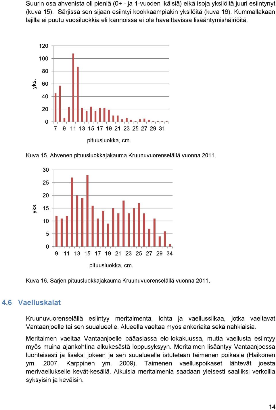 Ahvenen pituusluokkajakauma Kruunuvuorenselällä vuonna 0. 0 yks. 0 0 0 9 7 9 7 9 pituusluokka, cm. Kuva. Särjen pituusluokkajakauma Kruunuvuorenselällä vuonna 0.