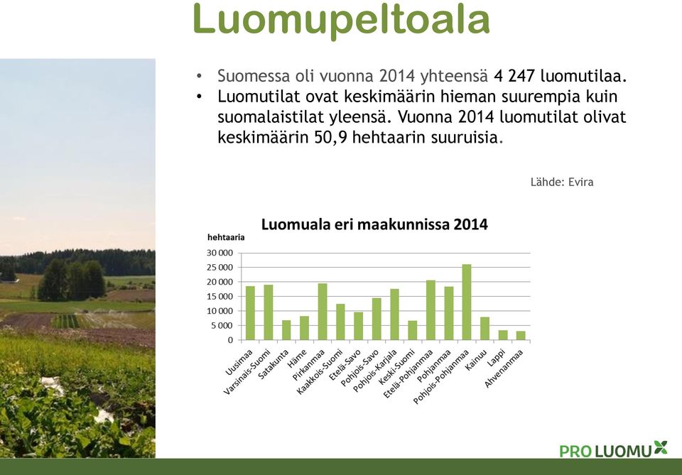 Luomutilat ovat keskimäärin hieman suurempia kuin