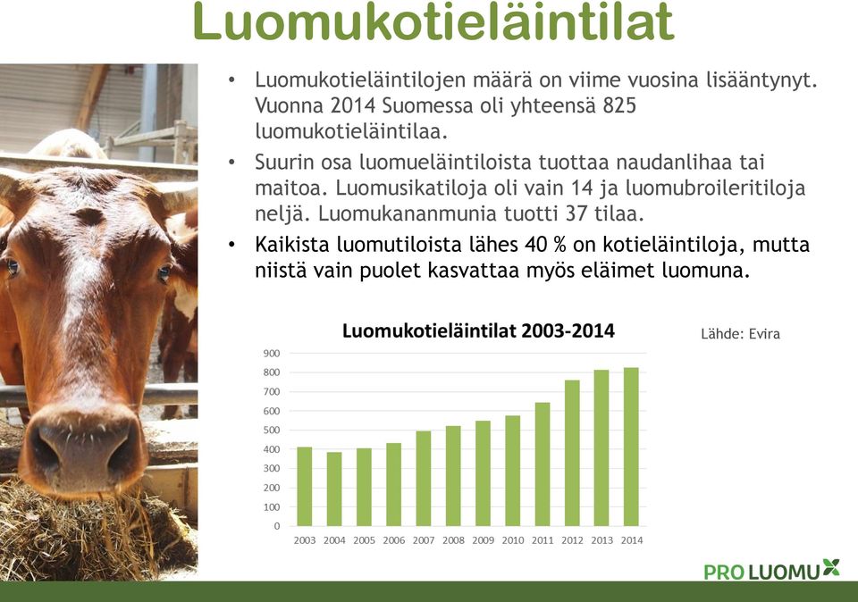 Suurin osa luomueläintiloista tuottaa naudanlihaa tai maitoa.